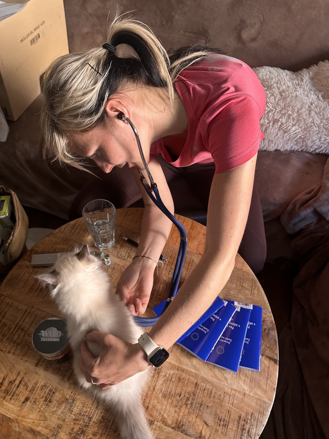 Veterinářka vyšetřuje kotě stetoskopem při návštěvě u nás doma